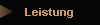 Leistung